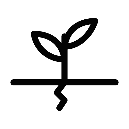 A plant sprouting out of cracked pavement representing folks navigating systemic oppression.